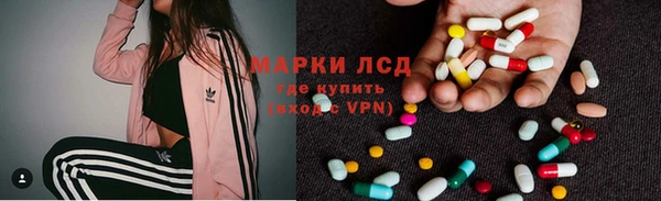 шишки Абаза