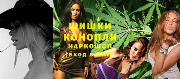 шишки Абаза