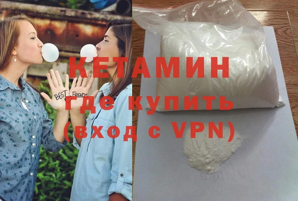 шишки Абаза