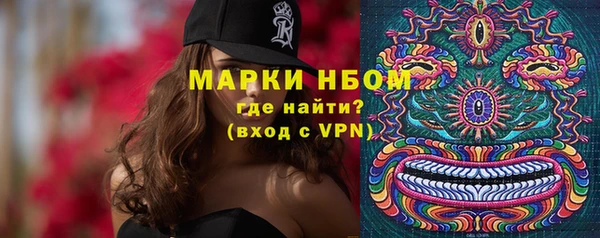 шишки Абаза