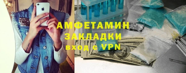 шишки Абаза