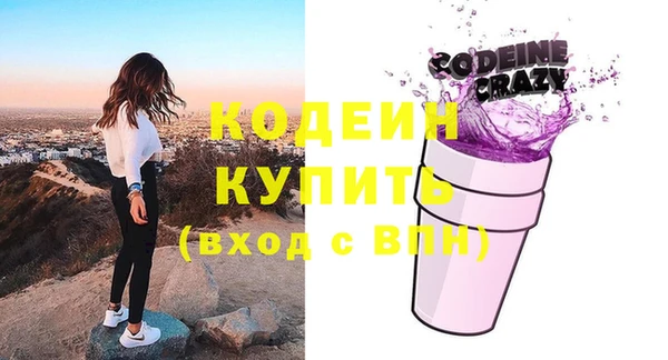 шишки Абаза