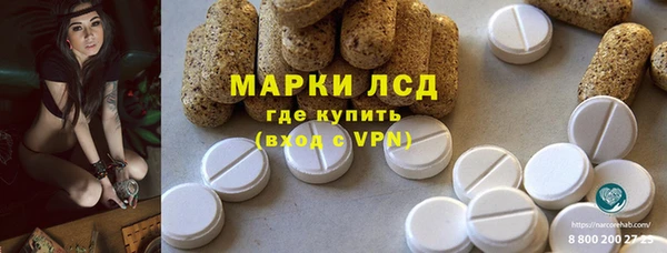 шишки Абаза